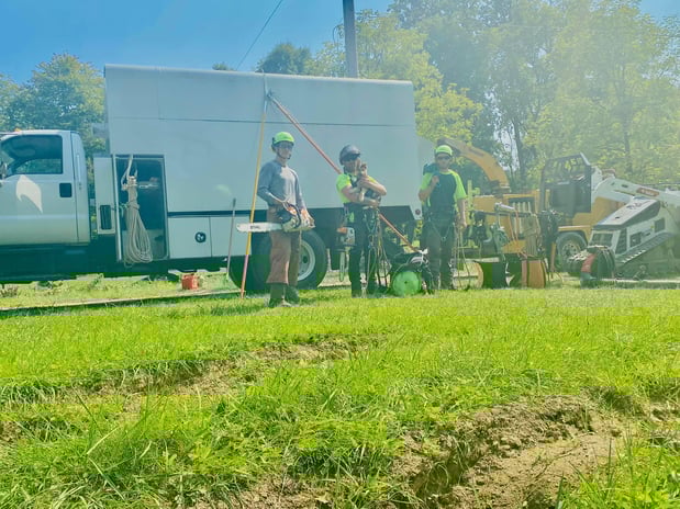 Images Sunbury Tree Care