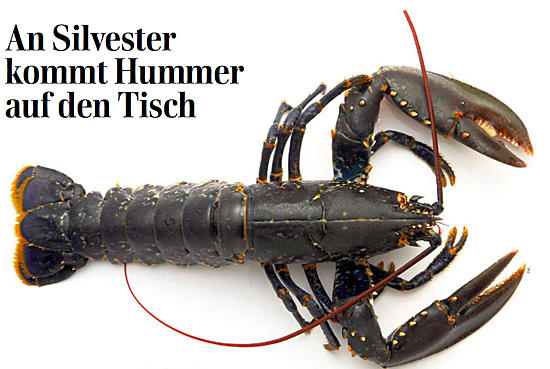 Bianchi G. AG, Allmendweg 6 in Zufikon