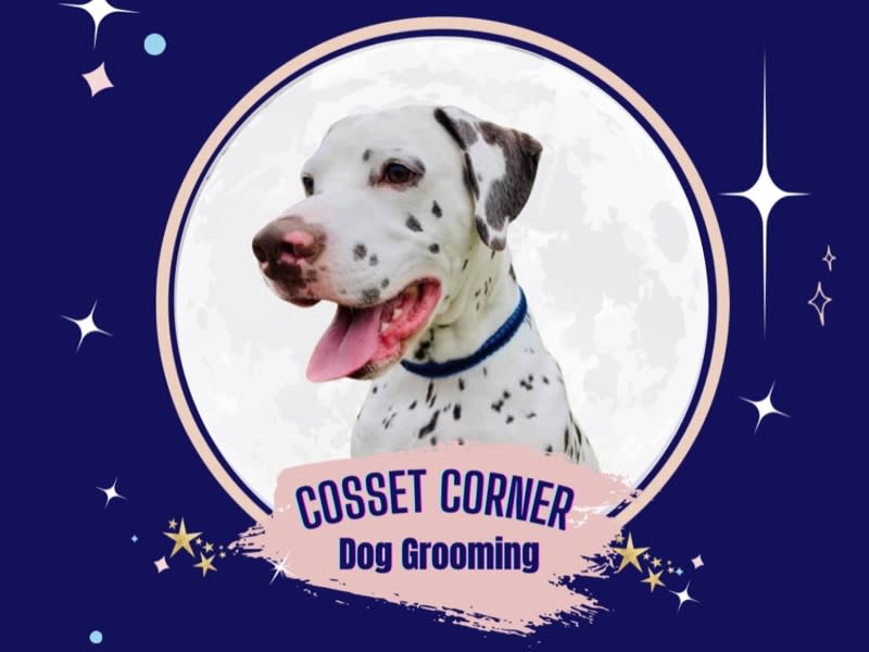 Images Cosset Corner Dog Grooming