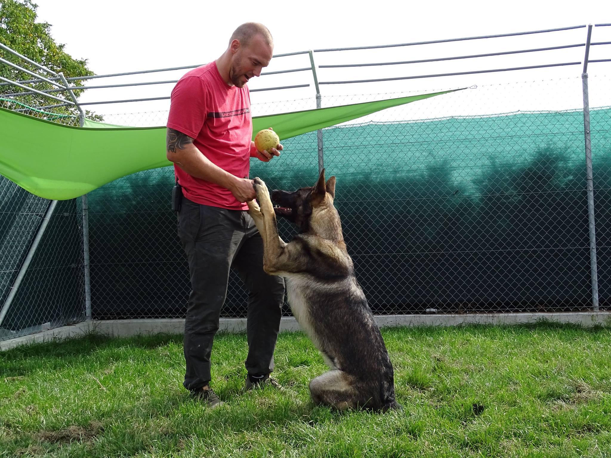 Tierhotel 5 Stern, Grienackerweg 3 in Niedergösgen