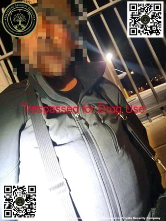 Images TreeStone Security Services