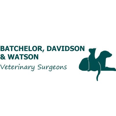 Batchelor, Davidson & Watson Veterinary Surgeons - Hillhouse Road (Edinburgh) - Edinburgh, Midlothian EH4 3QP - 01313 320458 | ShowMeLocal.com