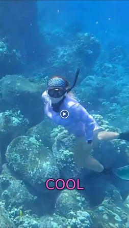 Images Kona Snorkel Trips