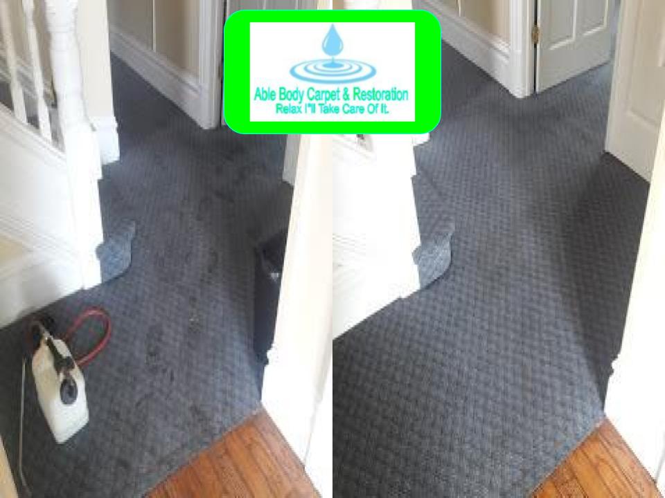 Able Body Carpet & Restoration Photo