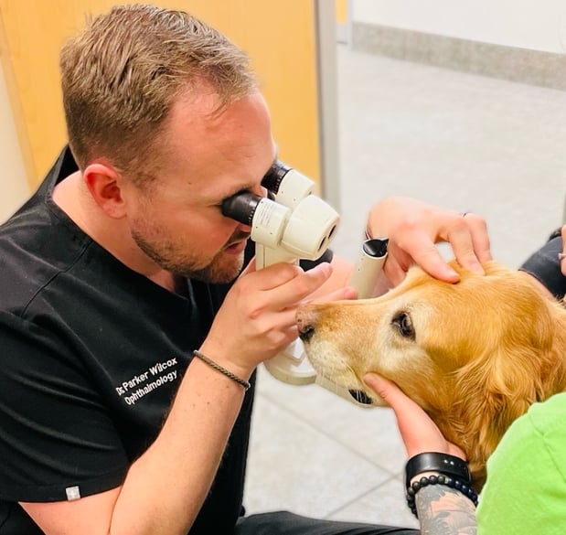 Images VCA Veterinary Referral and Emergency Center