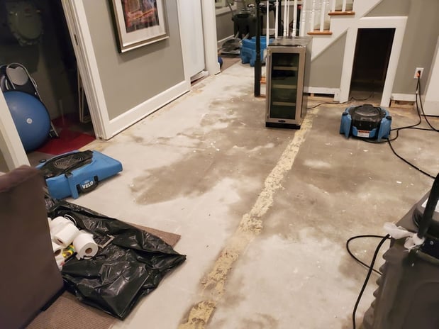 Images EZ Mitigation