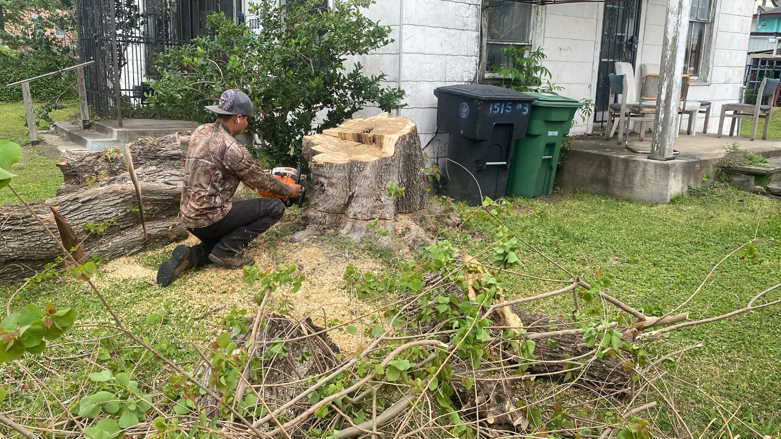 Cruz Professional Tree Services Image