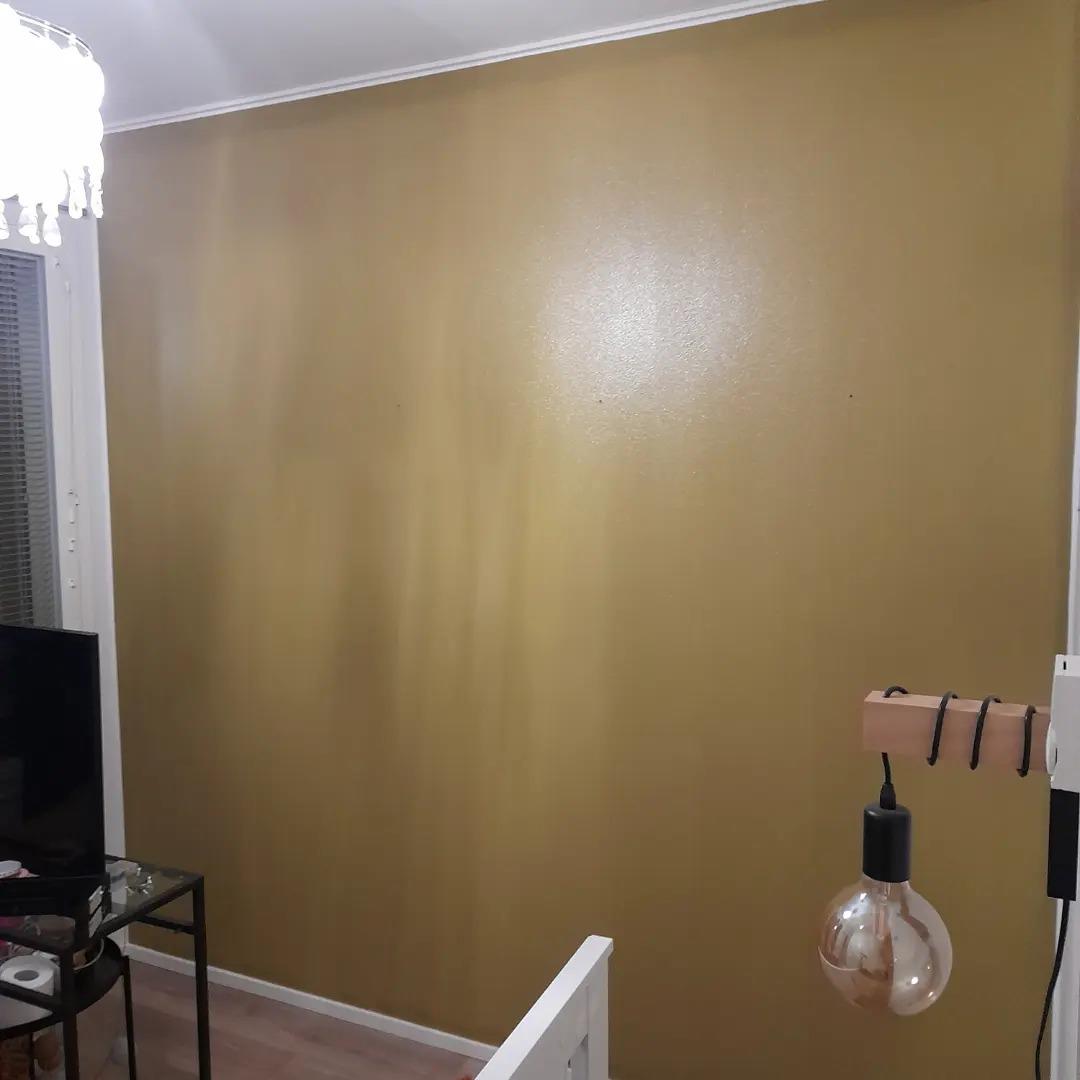 Images Juokseva maalari Oy