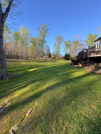 Images Beltran's Lawn Care, LLC