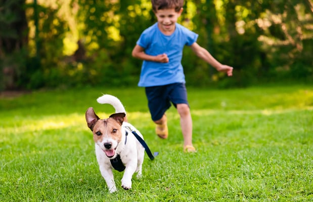 Images Providence Oaks by Pulte Homes