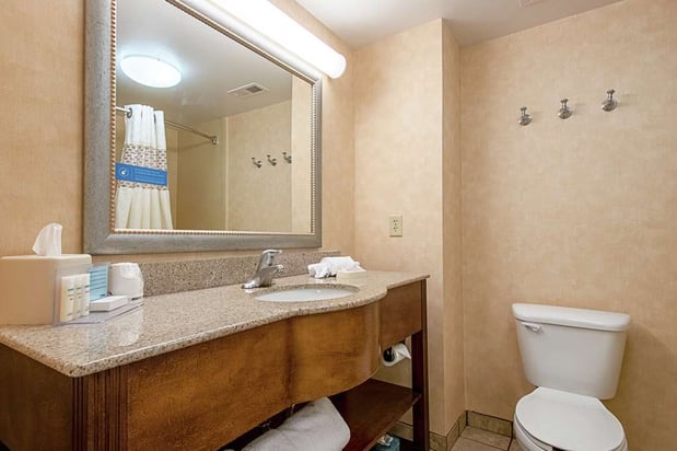 Images Hampton Inn Pine Grove