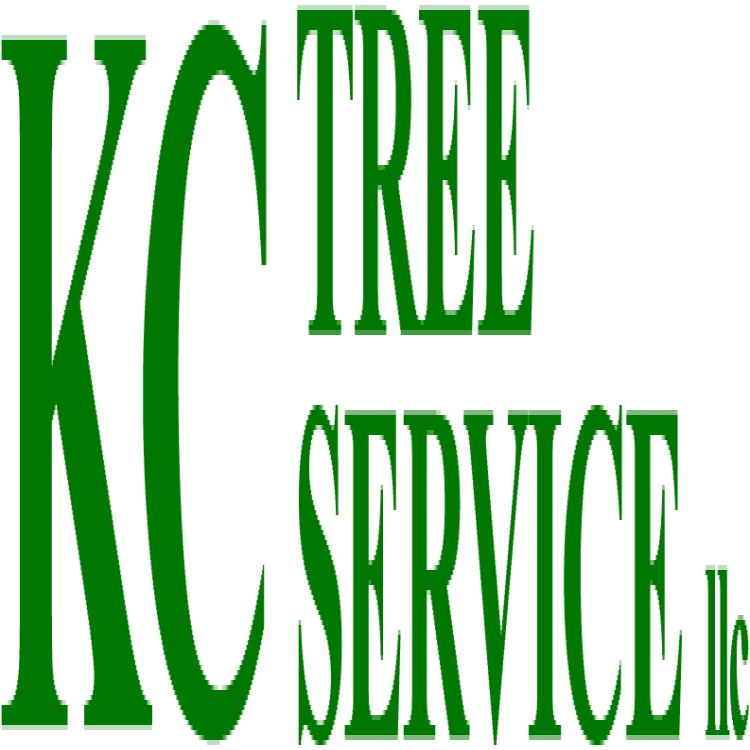 KC Tree Service Logo