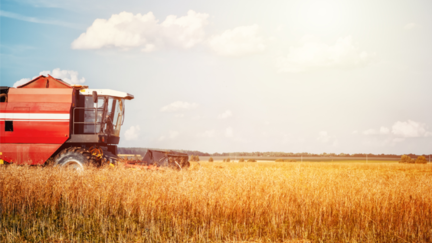 Images Thomas Gram Lindstad