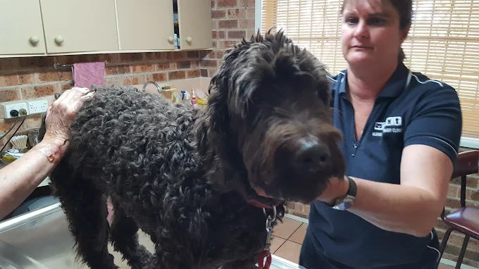 Images Kurmond Veterinary Clinic