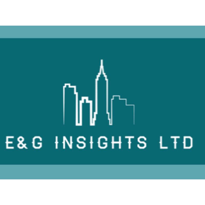 E&G Insights Ltd Logo