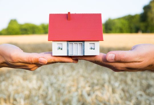 Walter Steinmann GmbH, Bachtelstrasse 32 in Wald ZH