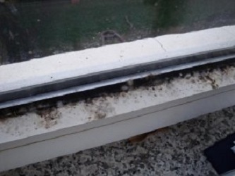 bioCon, Kampweg 25 in Winsen