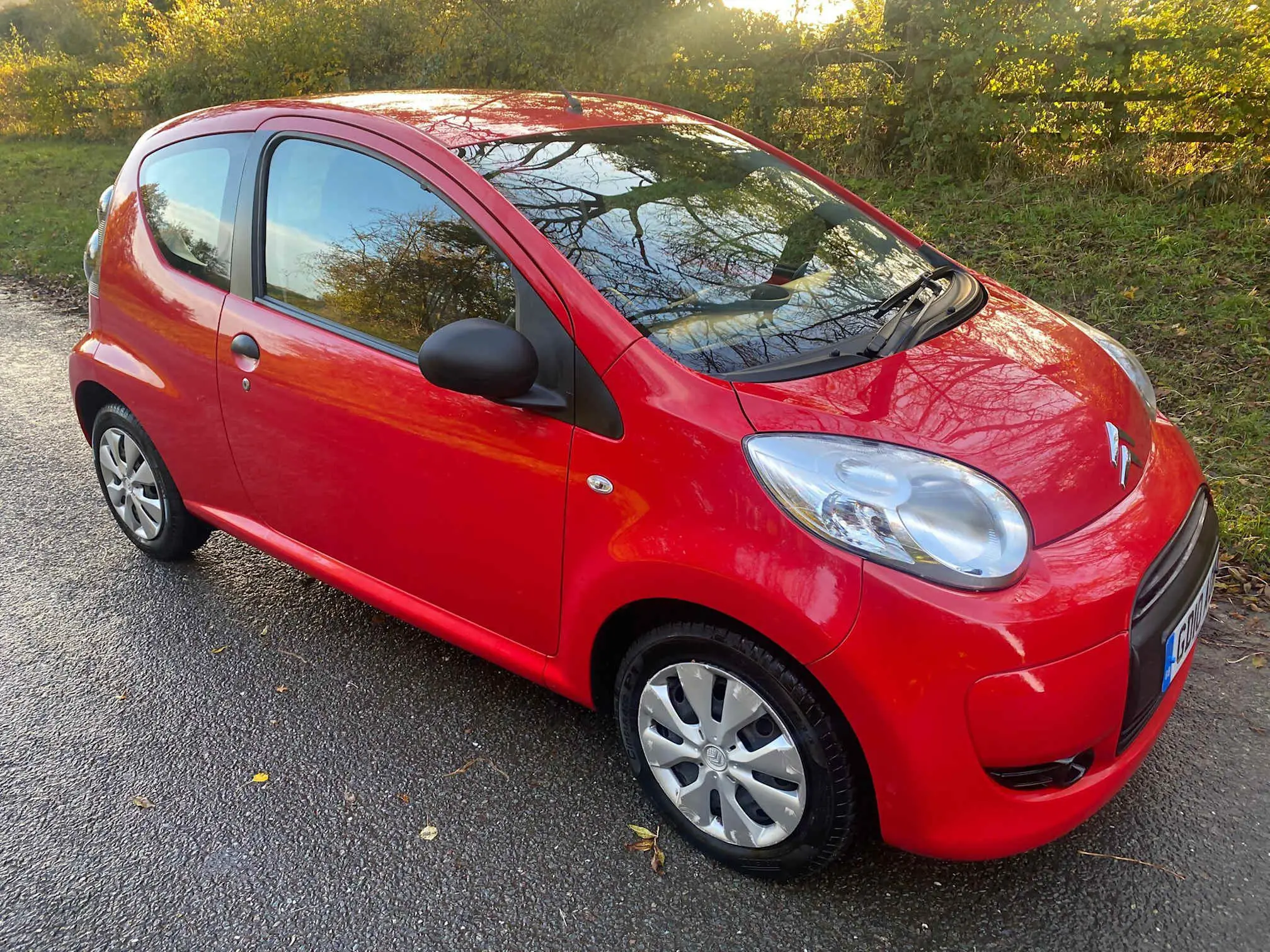 Images MooMoo Motors