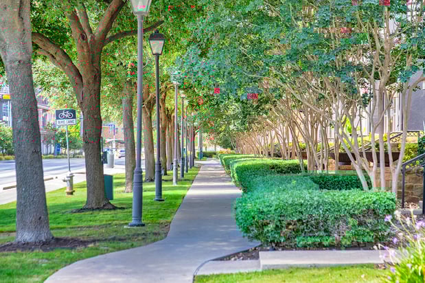 Images MAA West Austin
