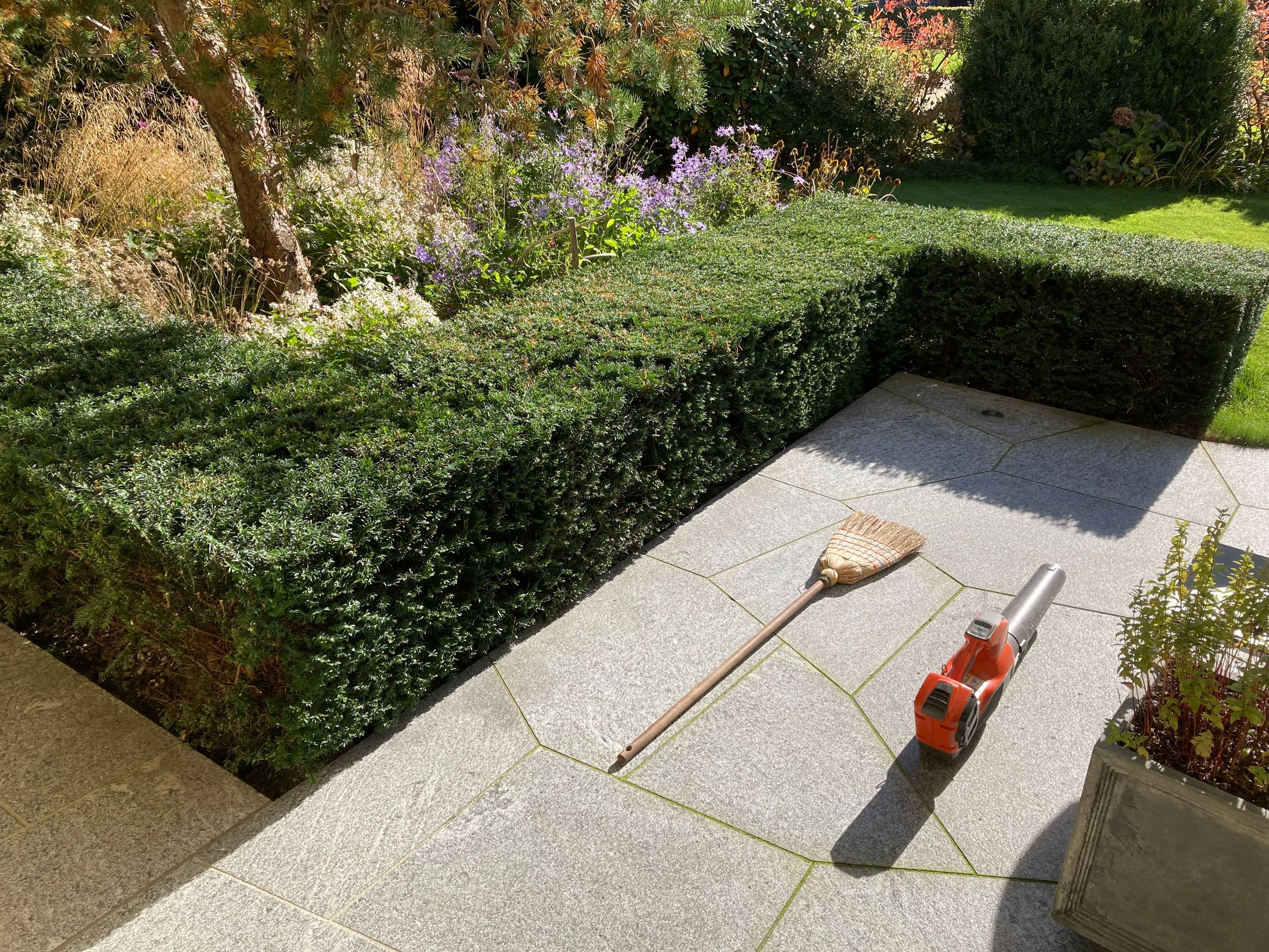 Bilder zehnder-garten GmbH