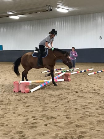 Images Pine Ridge Riding Center LLC
