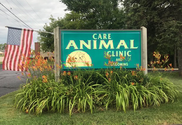 Images Care Animal Clinic