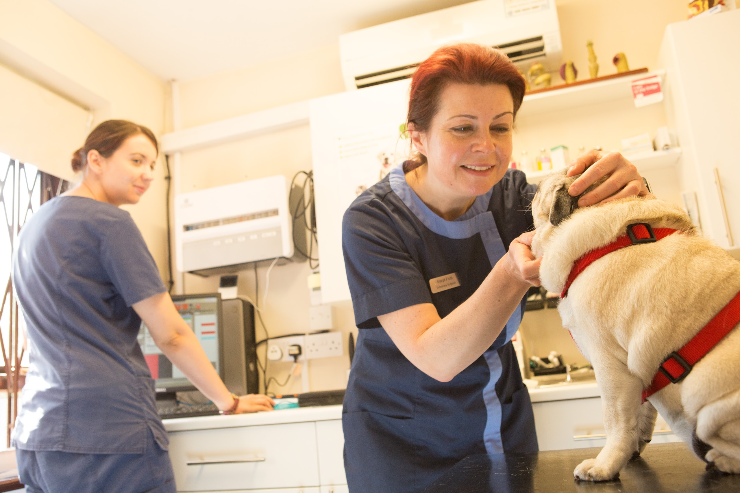 Images The Animal Clinic