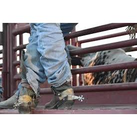 Saddle Western Wear Apparel