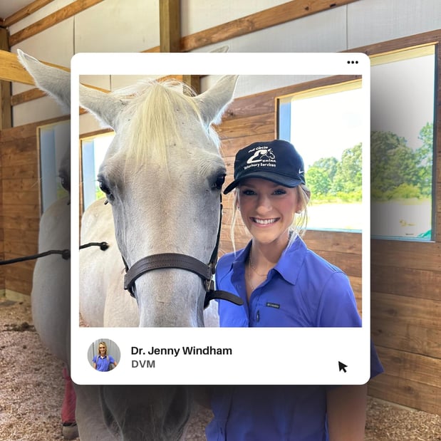 Images FULL CIRCLE EQUINE VETERINARY SERVICES