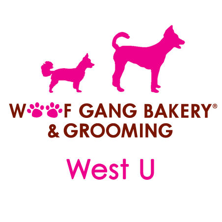 business logo
