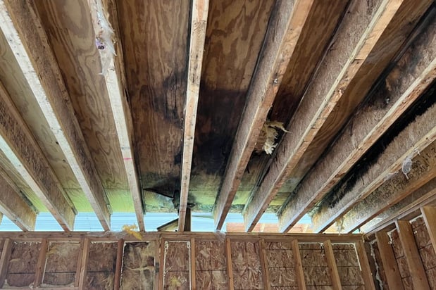 Images First Response Restoration - MN & WI Water Damage Repair