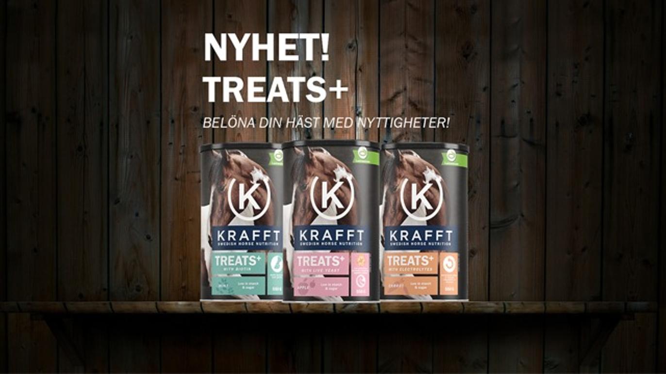 Images Ingvallstorp Häst och Fritid