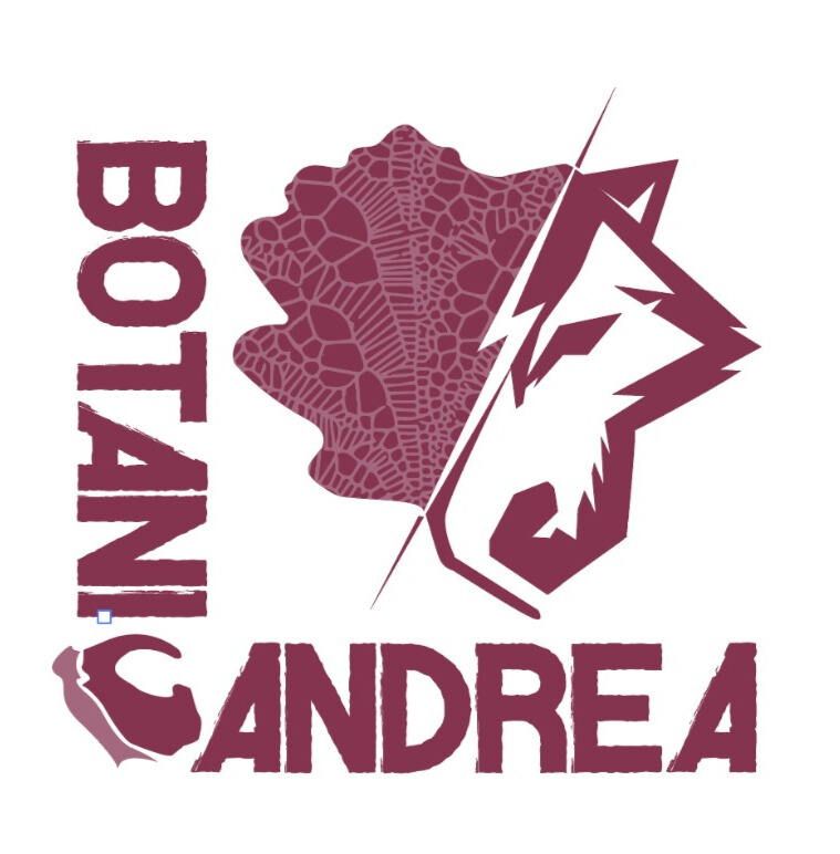 Images BotanicAndrea
