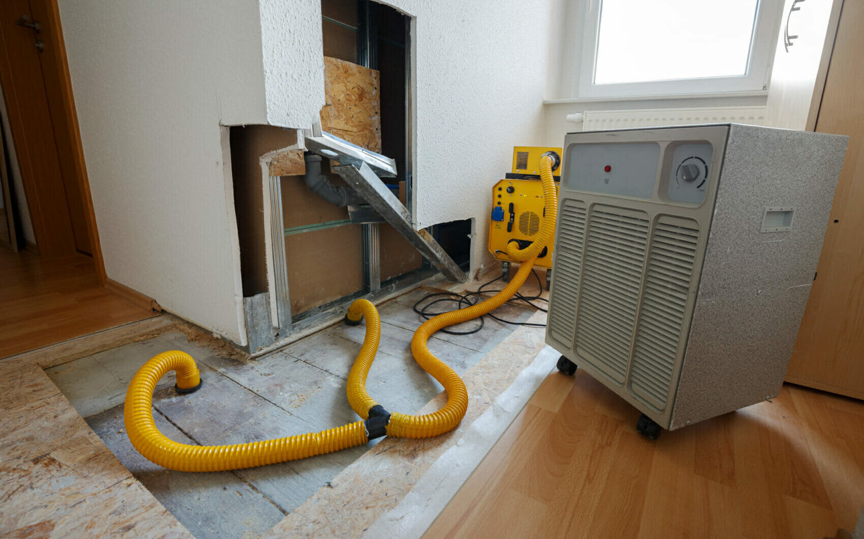 Bilder Star Reinigung