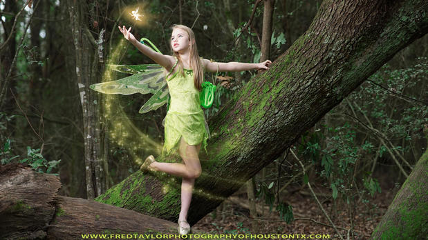 Images Fred Taylor Photography