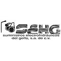 Sehg Sa De Cv Logo