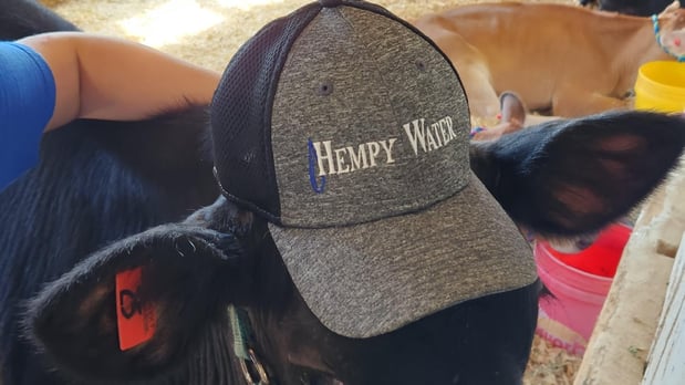 Images Hempy Water