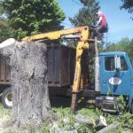 Images Four Seasons Tree Service