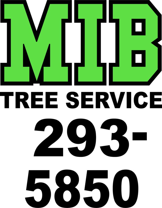 Images MIB Tree Service