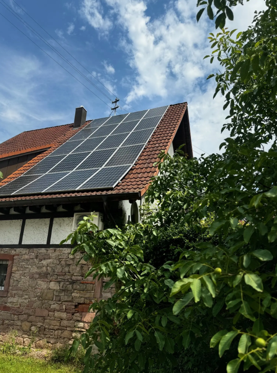 Bilder Aligator Photovoltaik