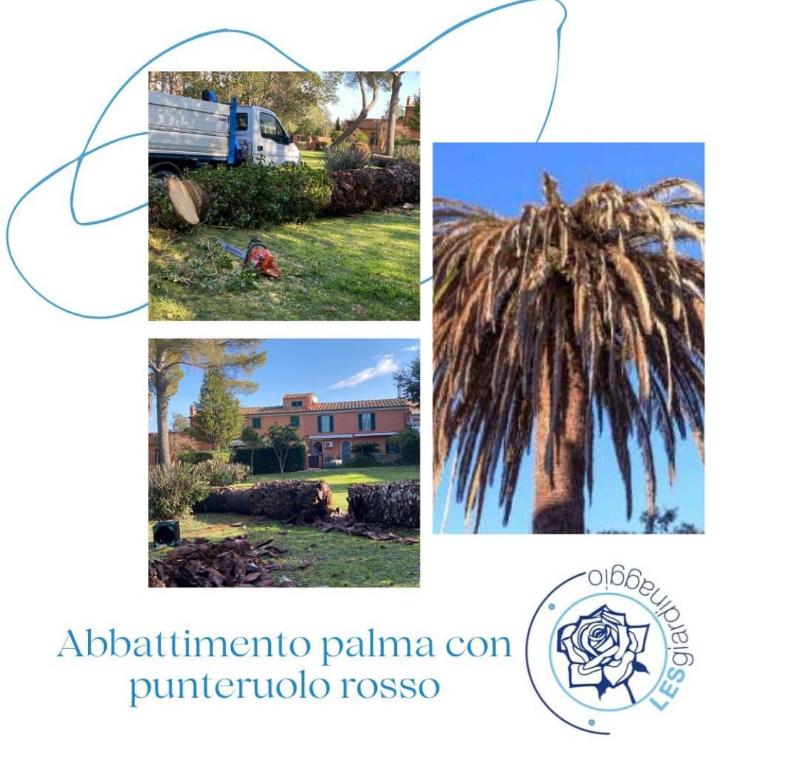 Images Les Giardinaggio