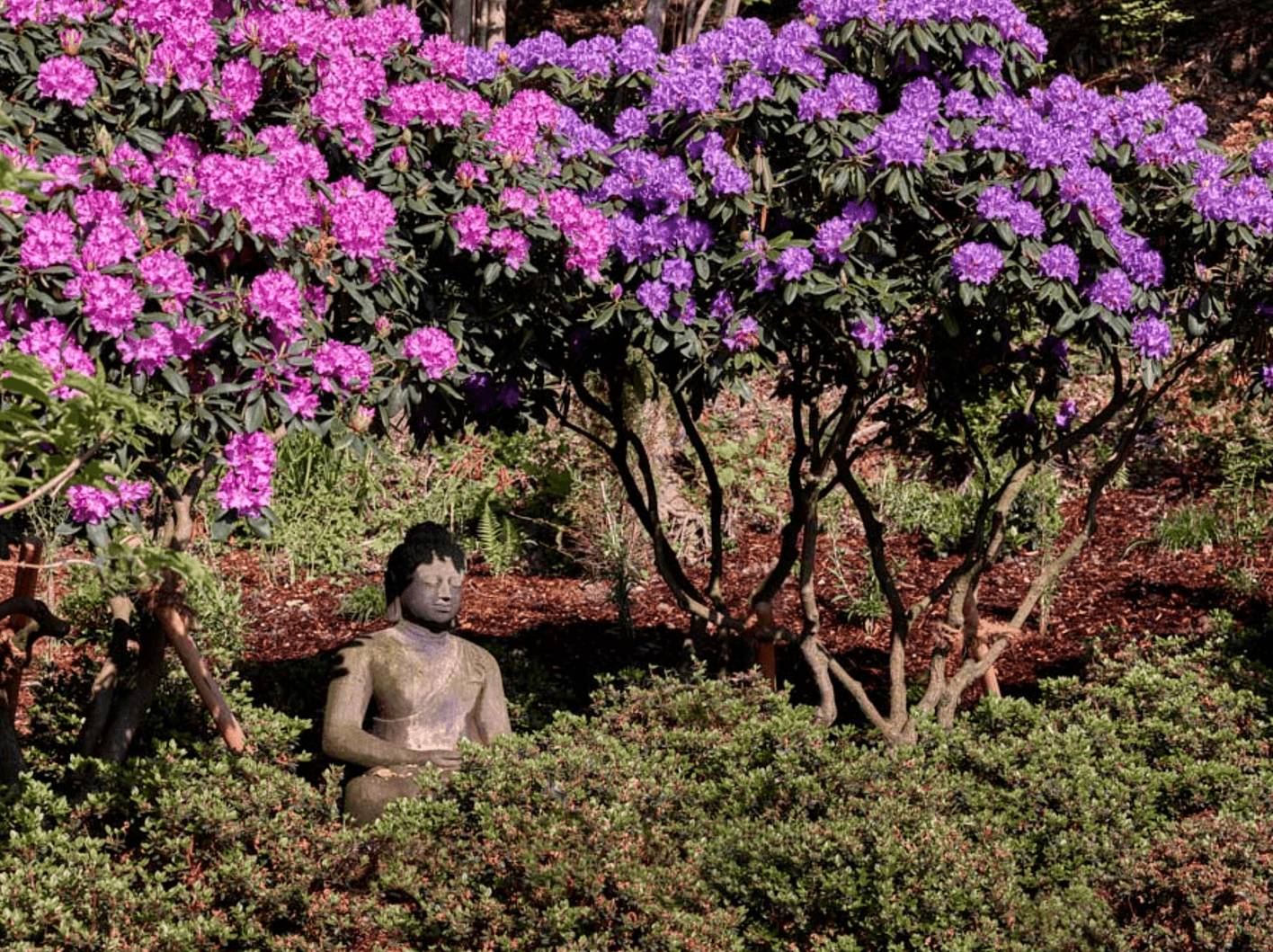 Select Garten GmbH, Im Chapf 11 in Erlenbach ZH