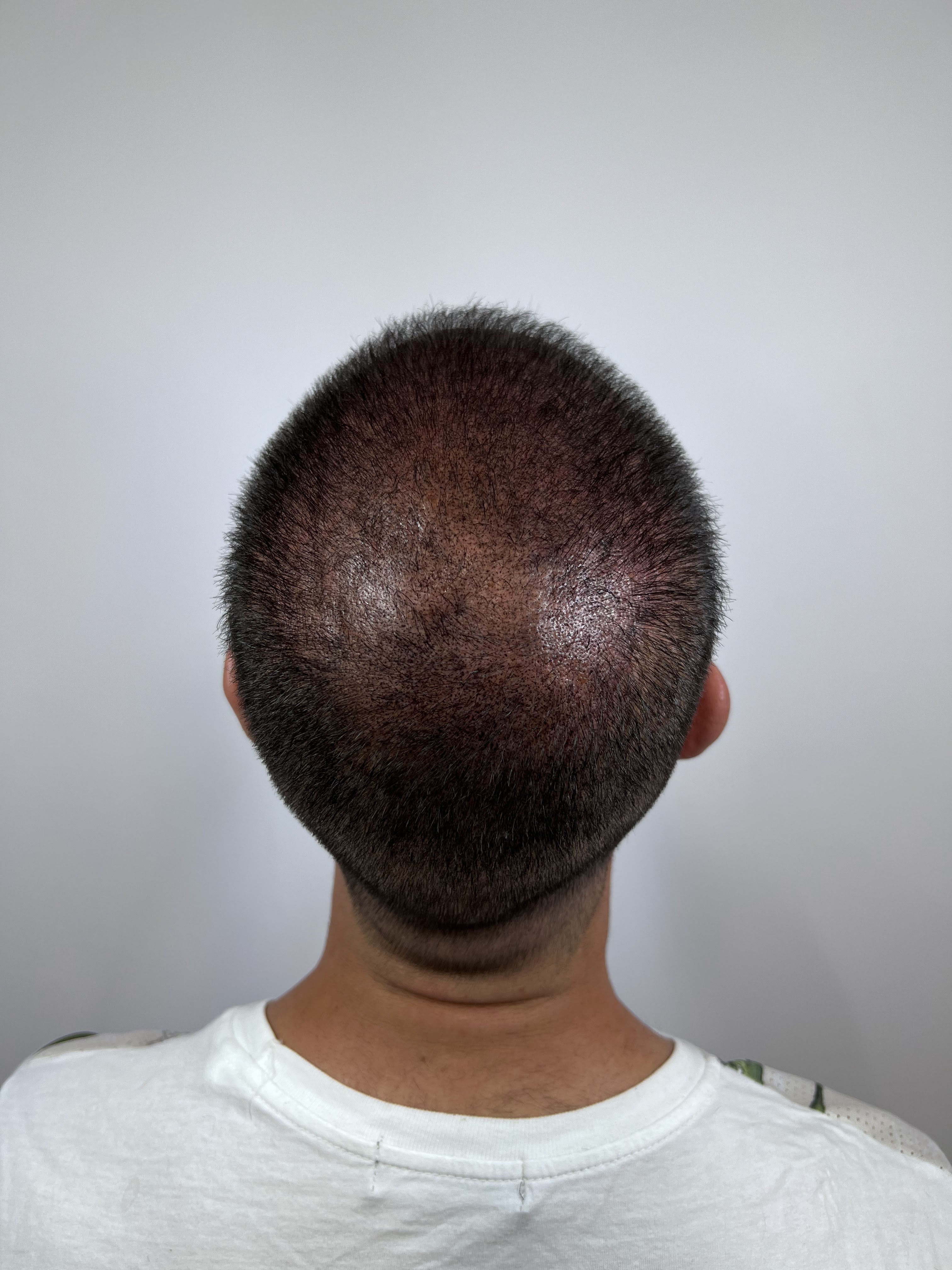 Images Tebori Brows S.L