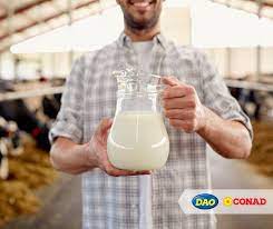 Images Conad