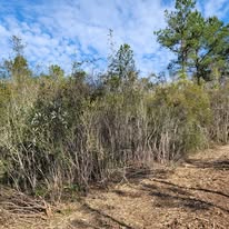 Images J & M Forestry and Mulching LLC