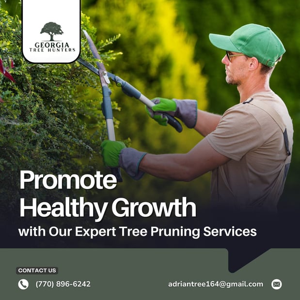 Images Georgia Tree Hunters