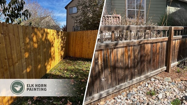 Images Elk Horn Painting - Denver