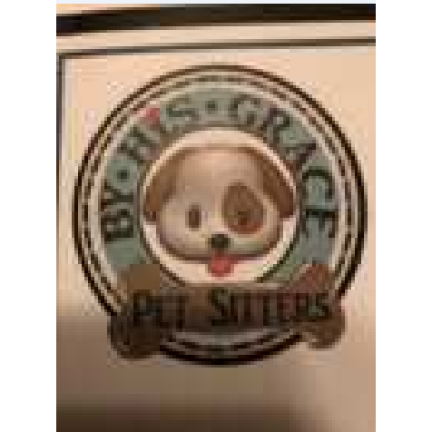 By His Grace Pet Sitters