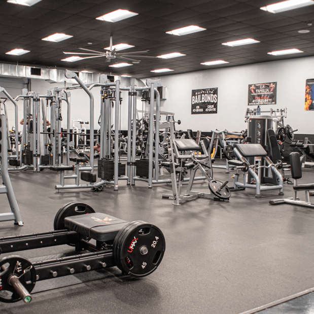 Images 24 Elite Gyms Carthage