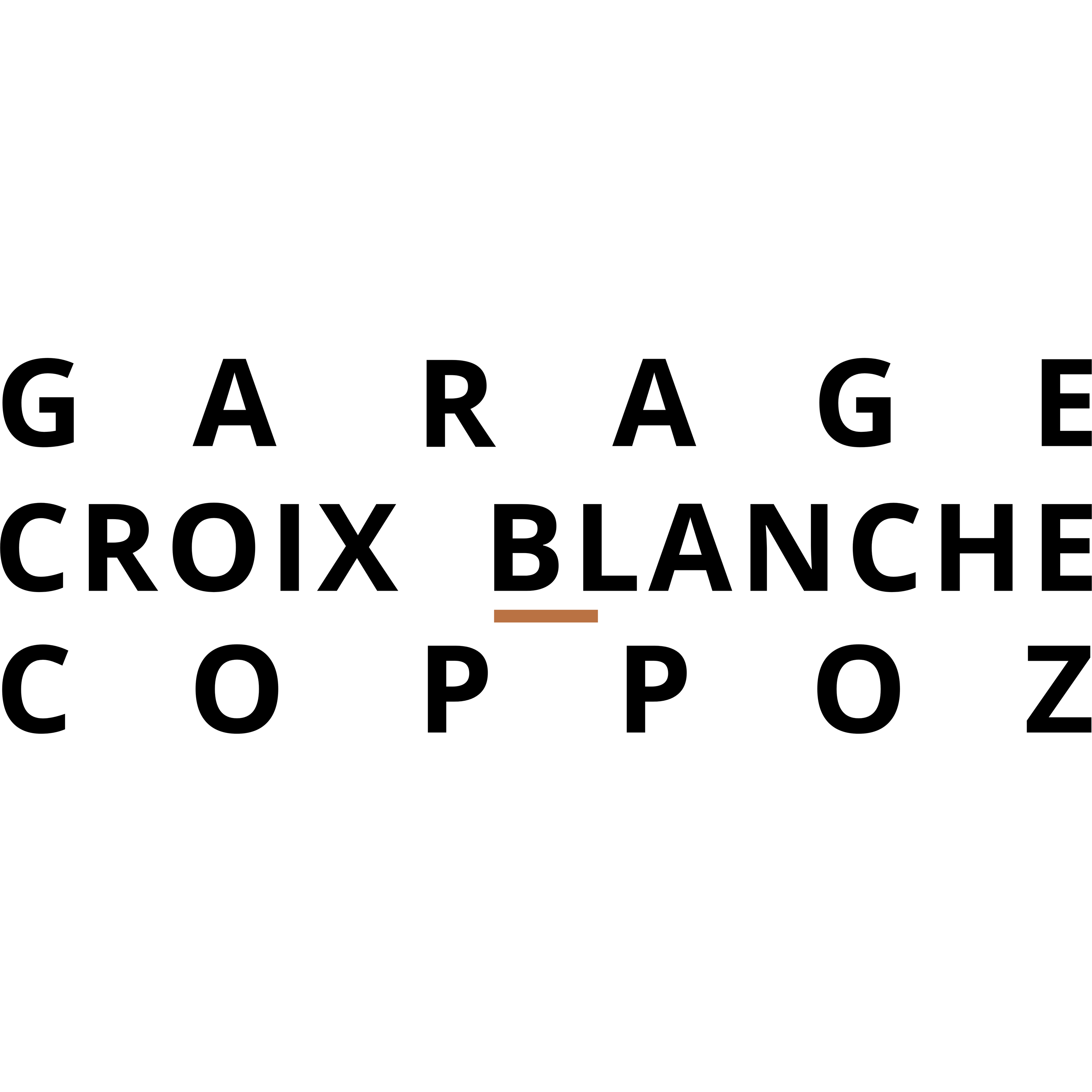 Garage Croix Blanche - Coppoz SA Logo